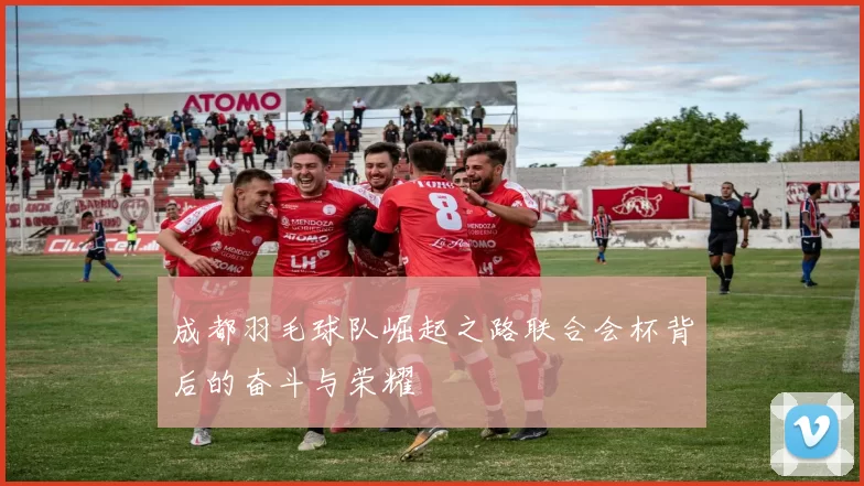 成都羽毛球队崛起之路联合会杯背后的奋斗与荣耀
