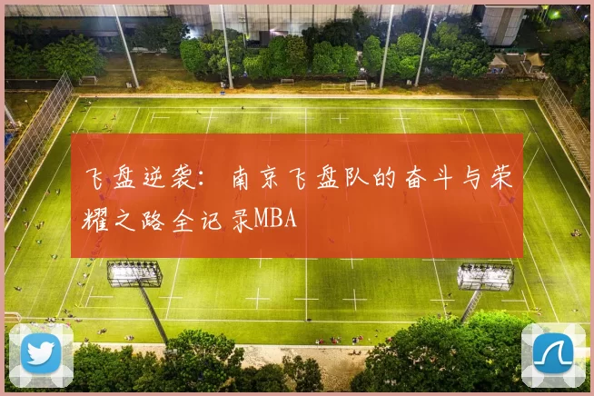 飞盘逆袭：南京飞盘队的奋斗与荣耀之路全记录MBA