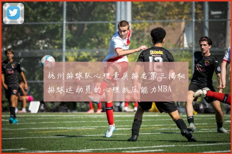 杭州排球队心理素质排名第三揭秘排球运动员的心理抗压能力MBA