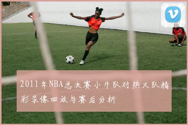 2011年NBA总决赛小牛队对热火队精彩录像回放与赛后分析