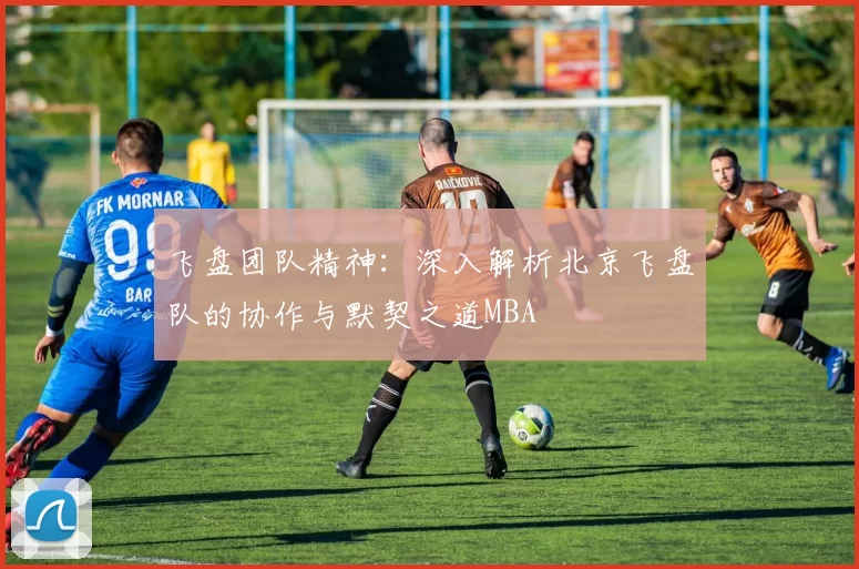飞盘团队精神：深入解析北京飞盘队的协作与默契之道MBA