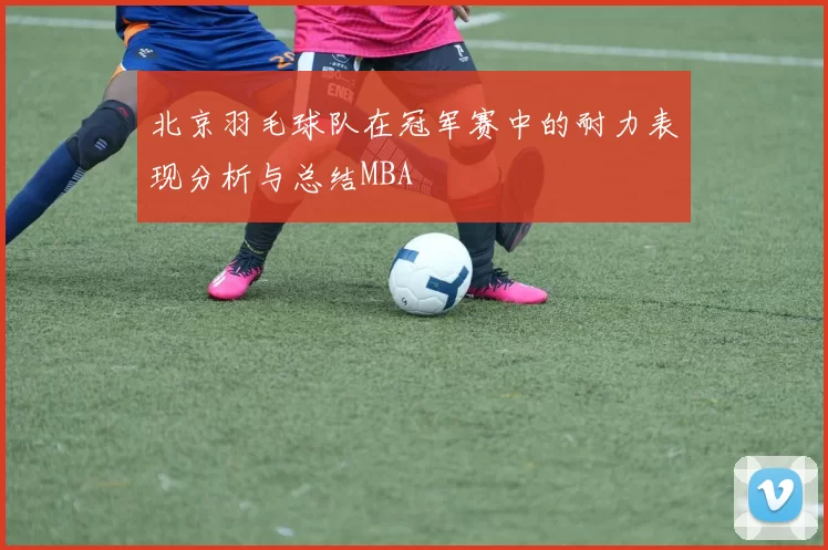 北京羽毛球队在冠军赛中的耐力表现分析与总结MBA