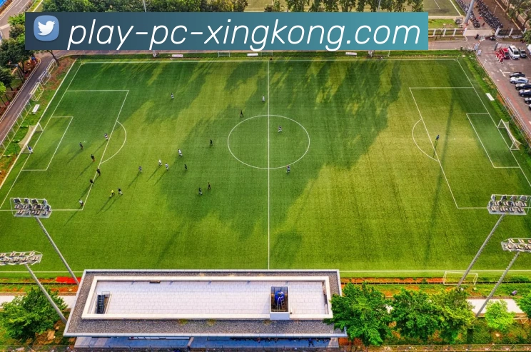 多媒体互动体验